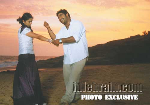 Simhadri - NT Rama Rao, Bhumika Chawla, Ankita