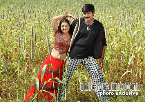 Srikanth's new film