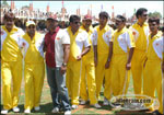 star cricket