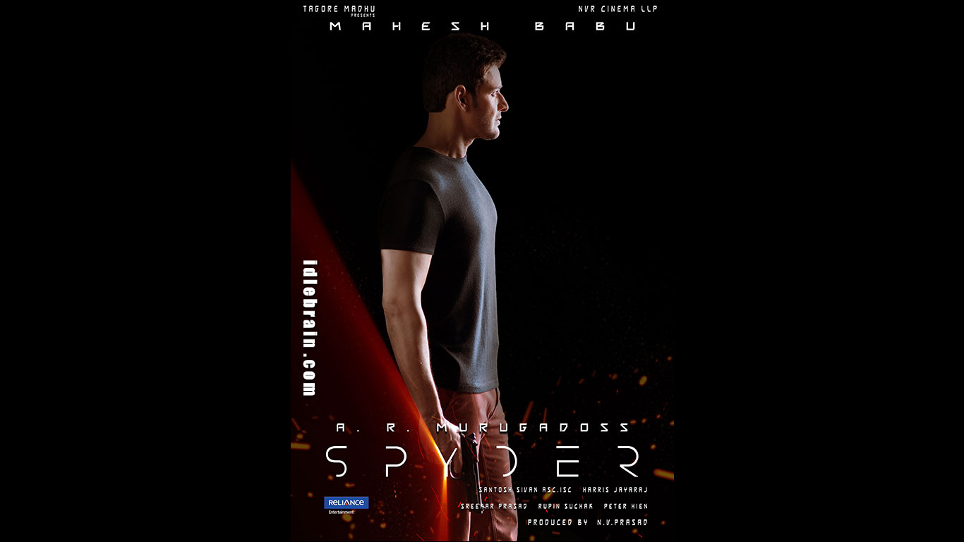 Spyder Wallpapers